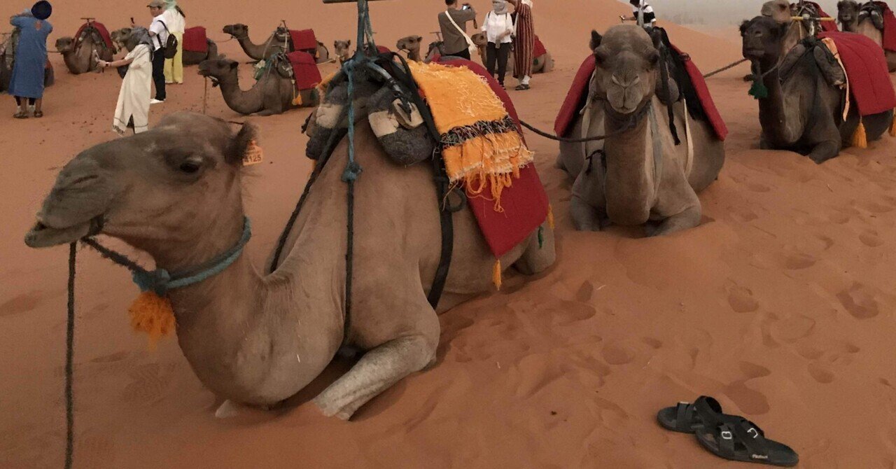 rectangle_large_type_2_c721dea