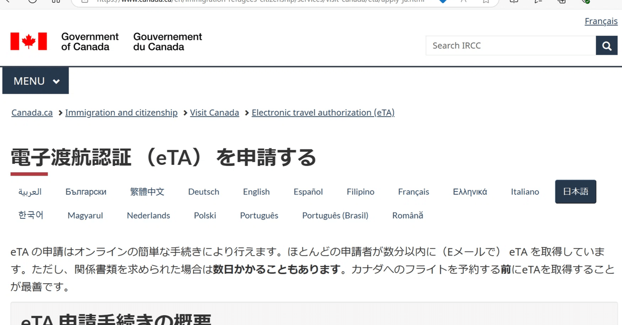 カナダで購入しました。 adidas originals x Palace ZX 10000 'Wild Pine Multi Color