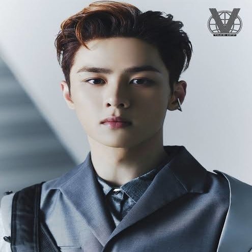 WayV 威神 ウィンウィン ルーカス シャオジュン ヤンヤン ヘンドリー 威神V WayVについて#1｜とみーです