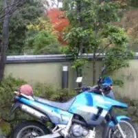 OMA同盟参上