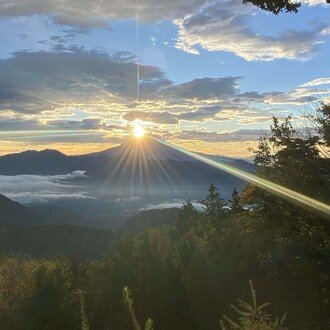 モロの島の住人