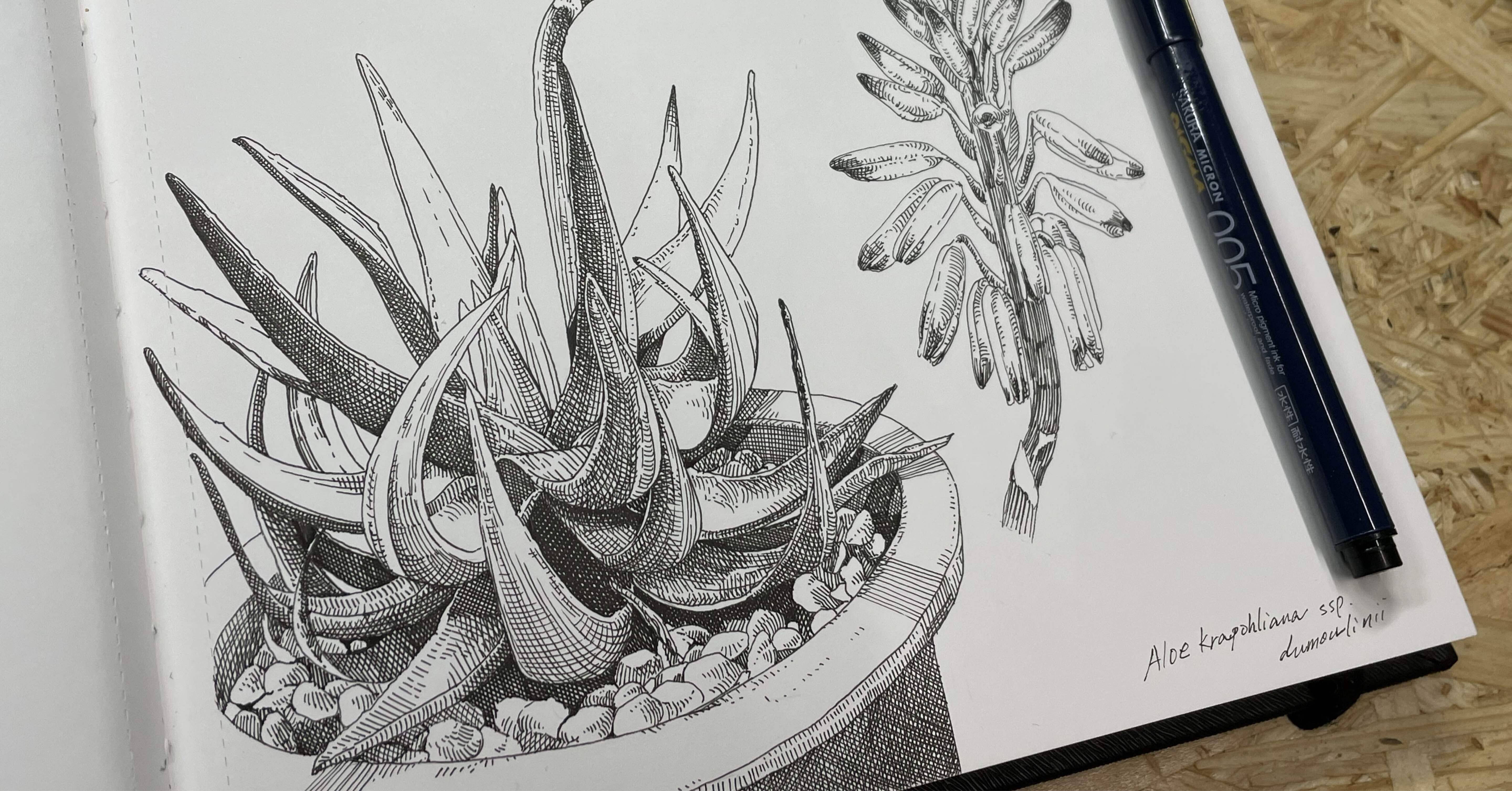 8ee8f3f8ad87434793192be483c402