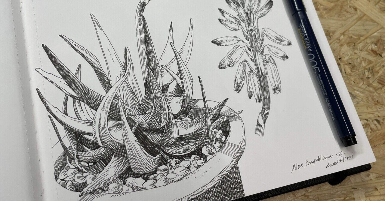 Botanical Sketchbooks | Helen Bynum、William Bynum | nostos