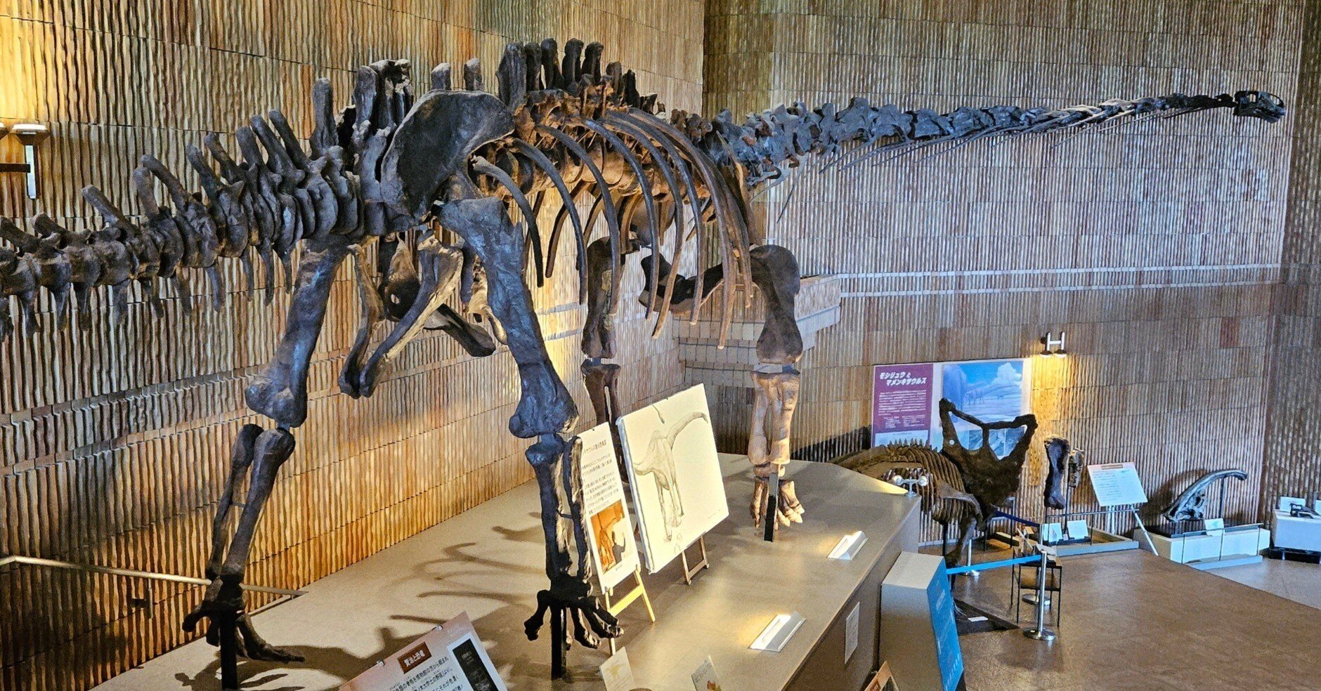 ed157cb357d7d58550703938250c61