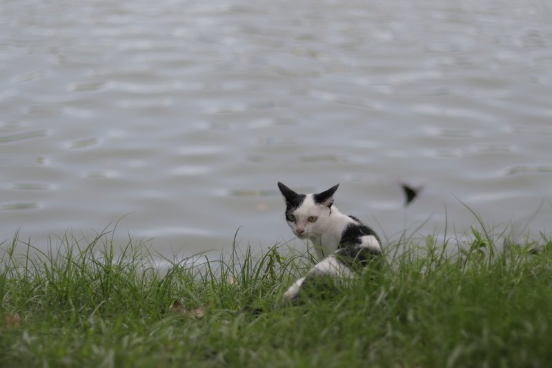 イライラがスッと消える魔法の言葉 Tomo Meets The World Note