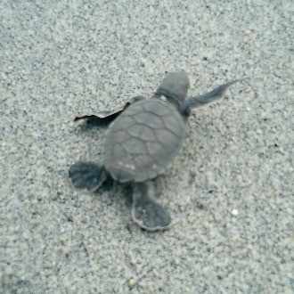 アルファオス の新着タグ記事一覧 Note つくる つながる とどける