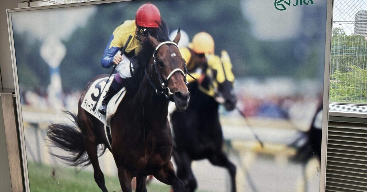 競馬場、これほどまでにデカいのか｜たかぱ