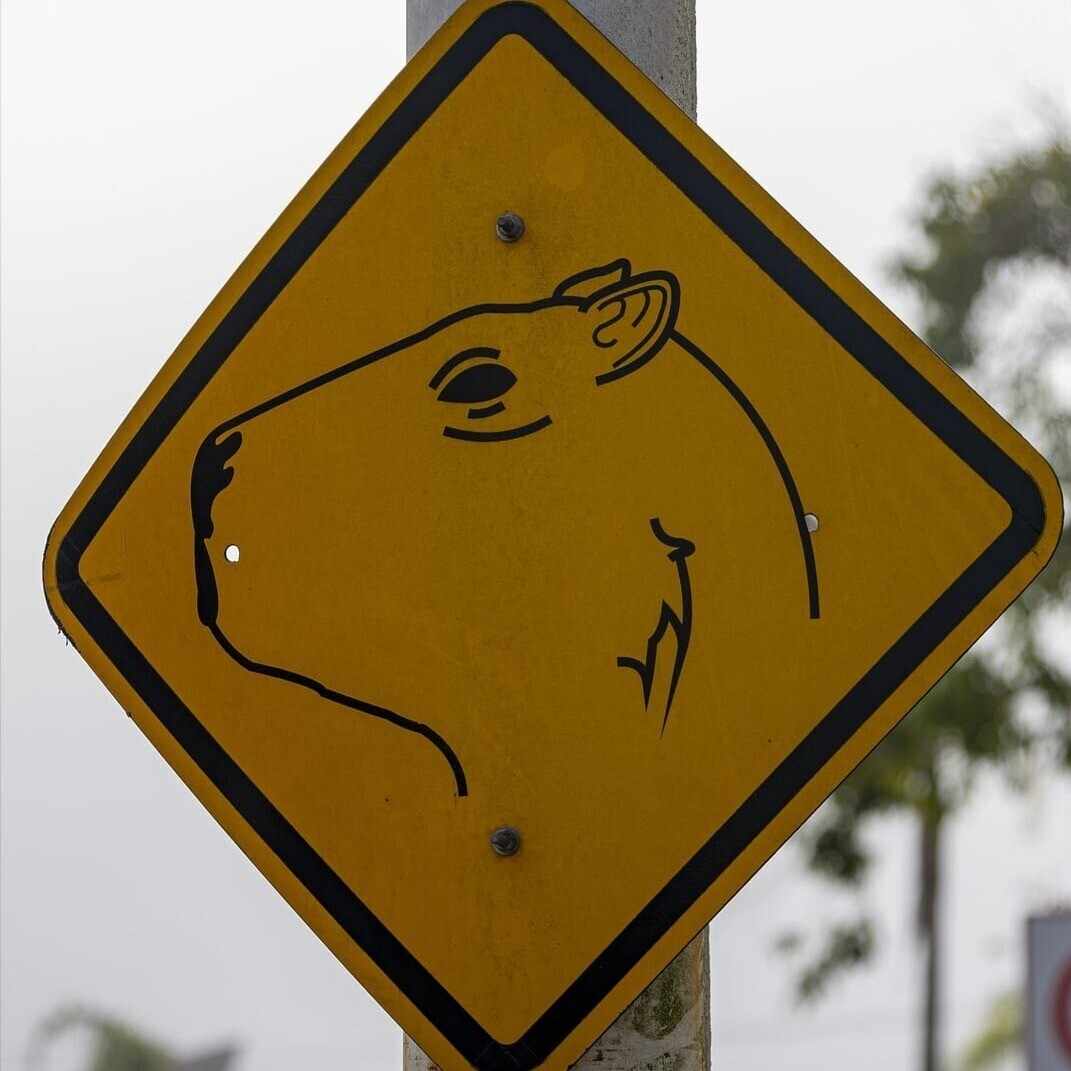 どらまっ子AKIちゃん