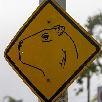 どらまっ子AKIちゃん