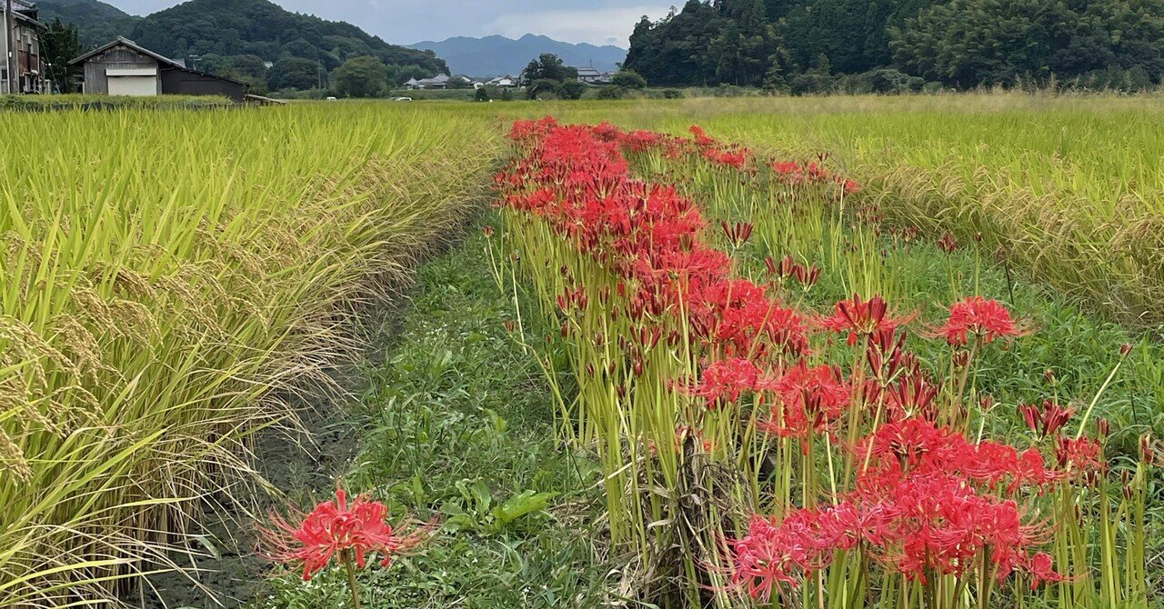 橘寺」の人気タグ記事一覧｜note ――つくる、つながる、とどける。