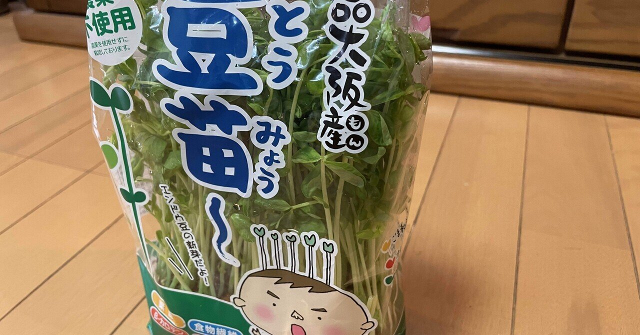 苗々ちゃん 健気！！我が家のトウミョウ子（豆苗子）ちゃん！｜ogawaeriko