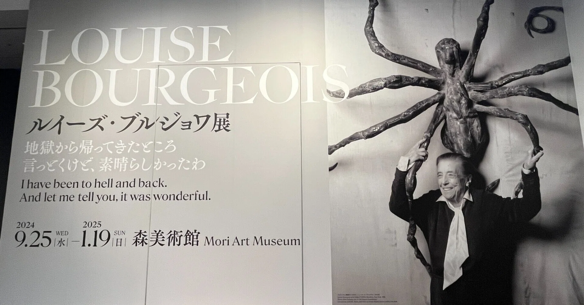 展覧会 #20 ルイーズ・ブルジョワ展@森美術館｜kichikichi｜美術は楽しい
