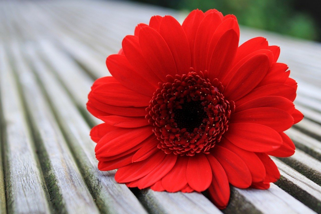 3回目のデート 女性から誘って良いもの 女優メソッド に学ぶ愛され術とは Hana Chan Note