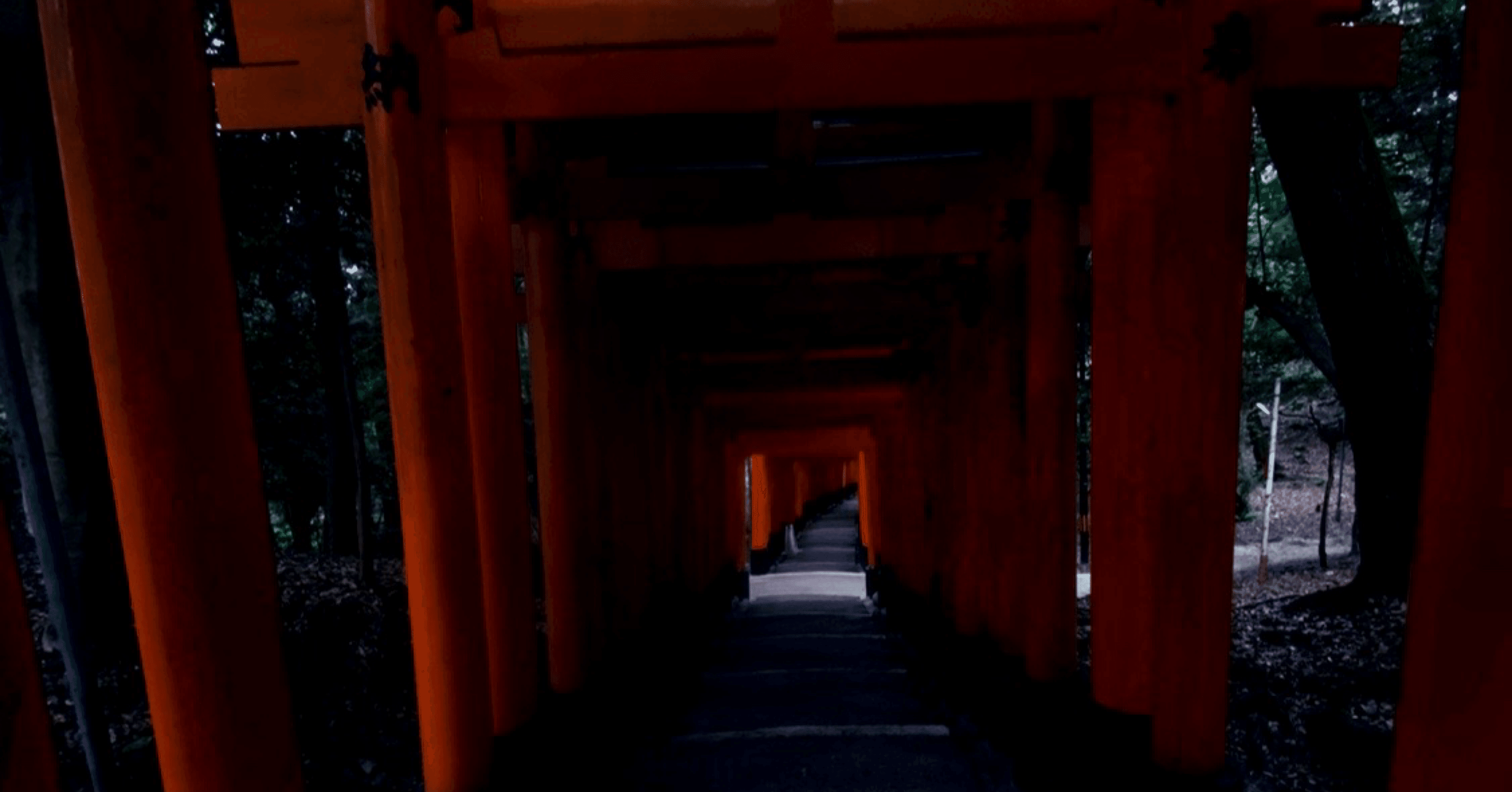 ファントムシータ ファントムシータ - UNIVERSAL MUSIC JAPAN