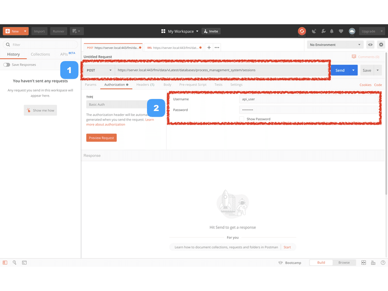 Filemaker Data Api P388cell Note