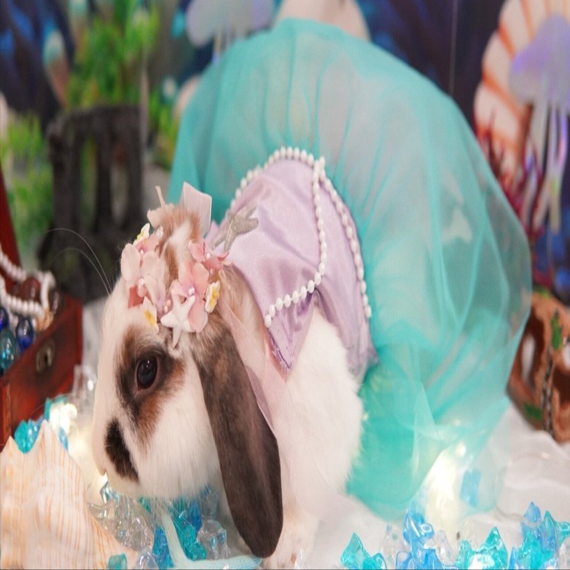 全文無料】黒単アビスについて考える（王道篇第3弾から）｜ずかちょん