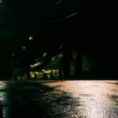 映画『bird call』｜トモたん