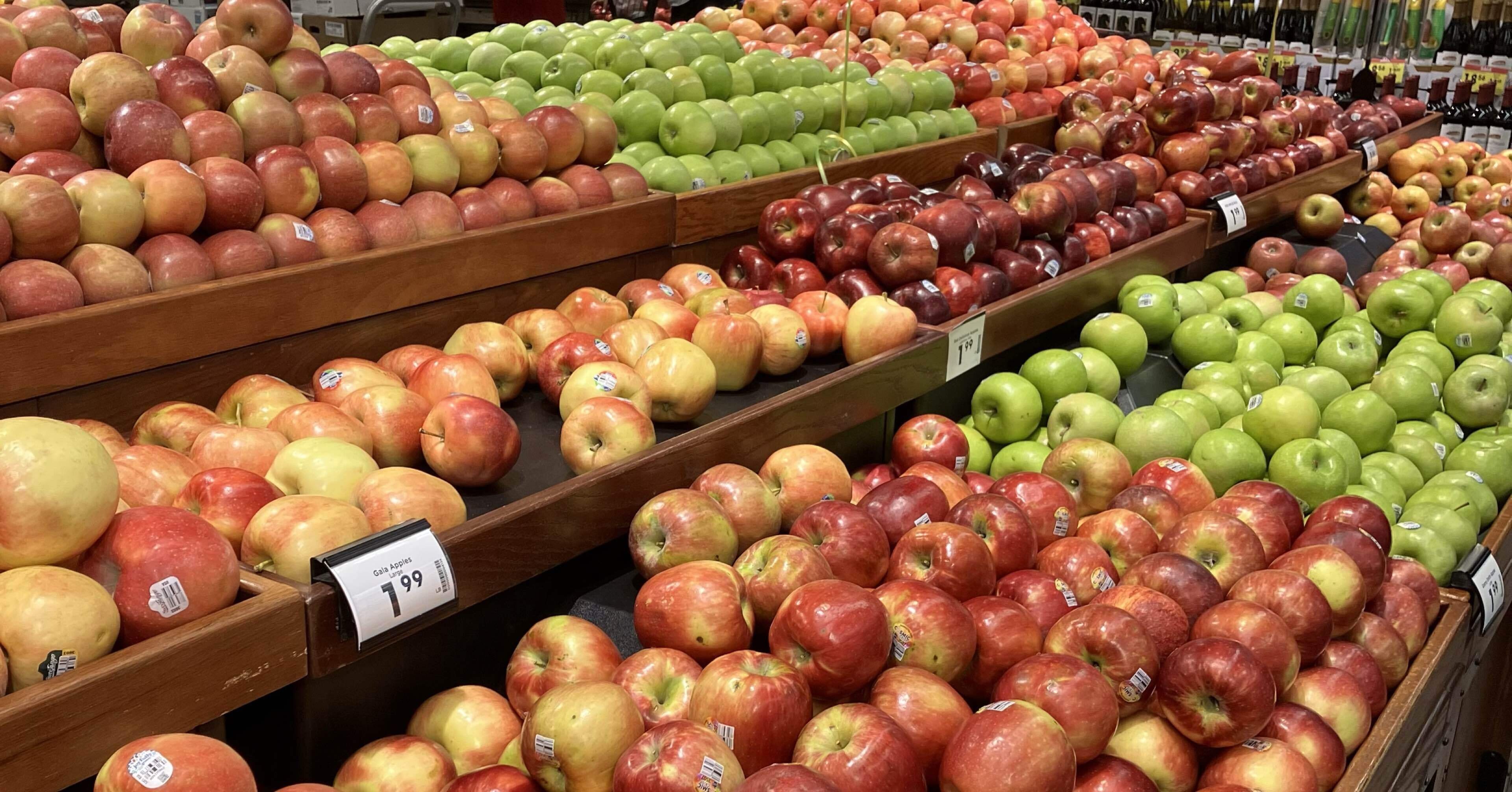 515471d3dc81da565e46f3a8fc6df1