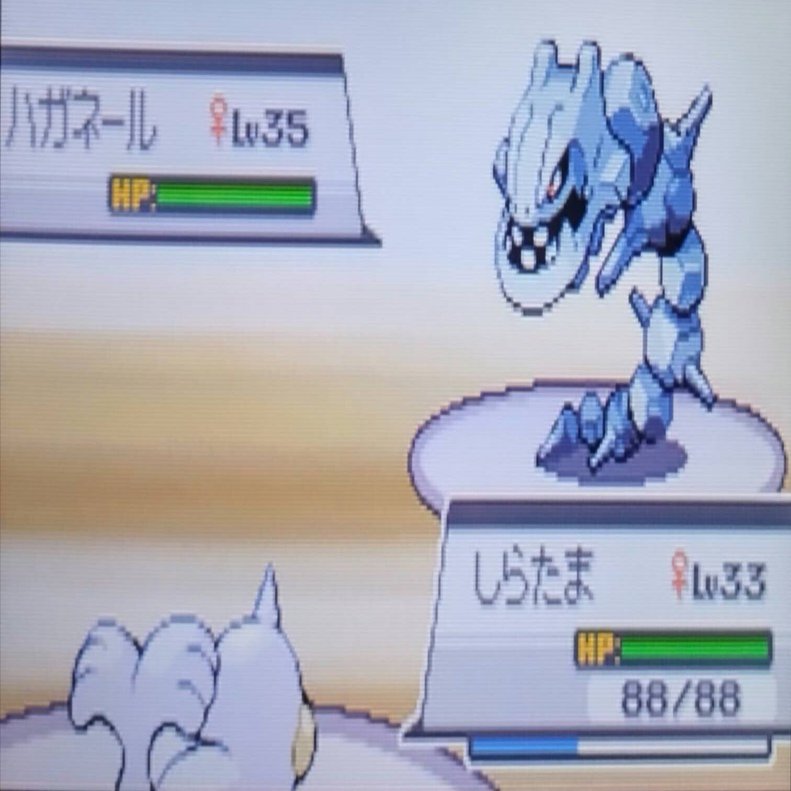 HGSS#9】他作品にも出演していたネールさんと会った（バッジ6つ目へ