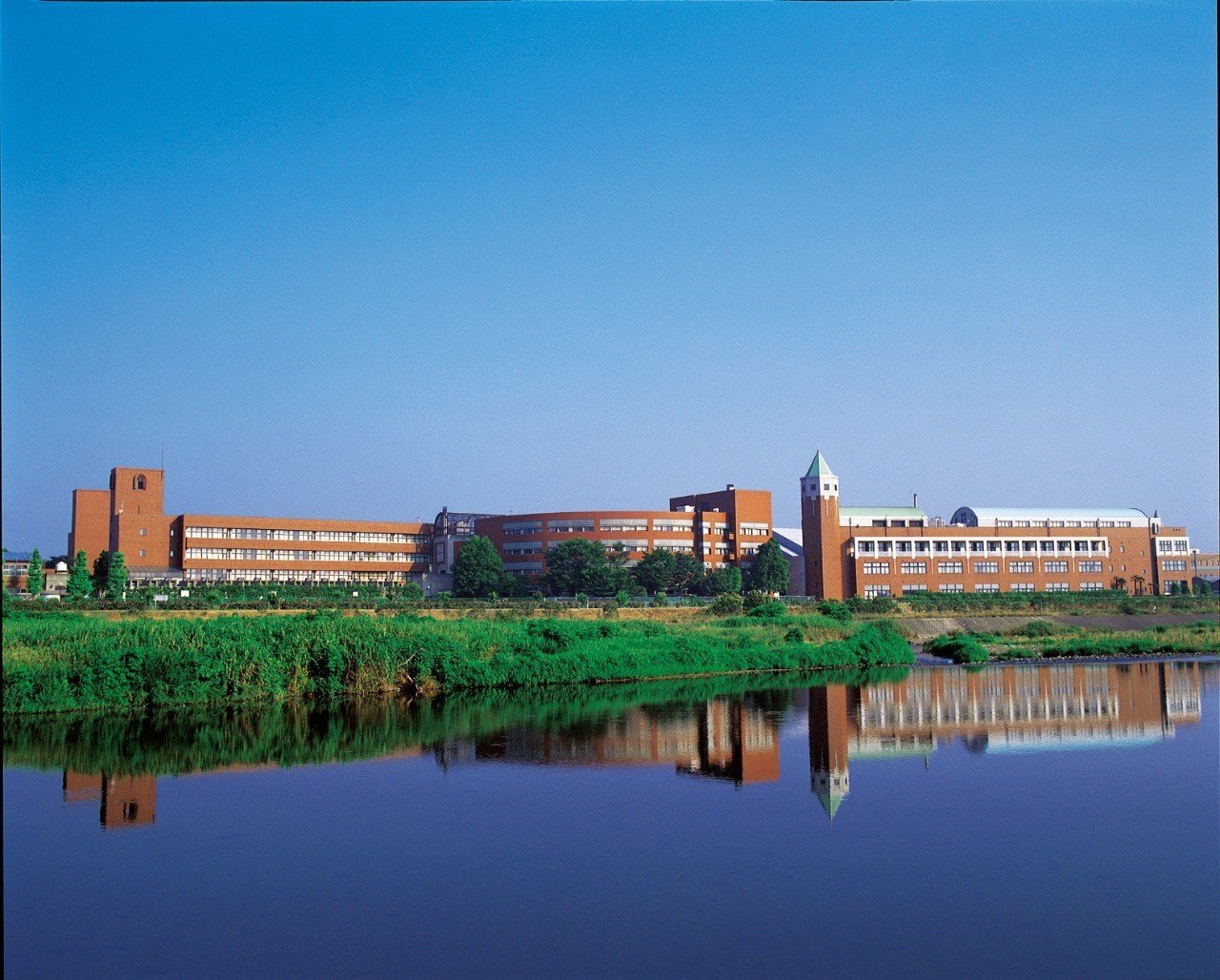 数字で見る西武文理中学 鳥居りんこ Note