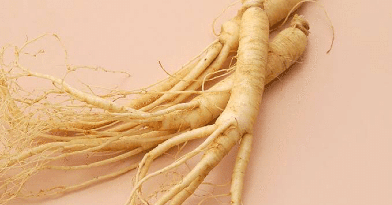 豆知識/「高麗人参」について｜江戸っ子