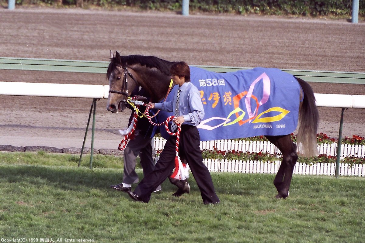 第58回皐月賞:蔵出し写真 1998年 ③セイウンスカイ|馬画人 (ま 第58回皐月賞:蔵出し写真 1998年 ③セイウンスカイ|馬画人 (ま