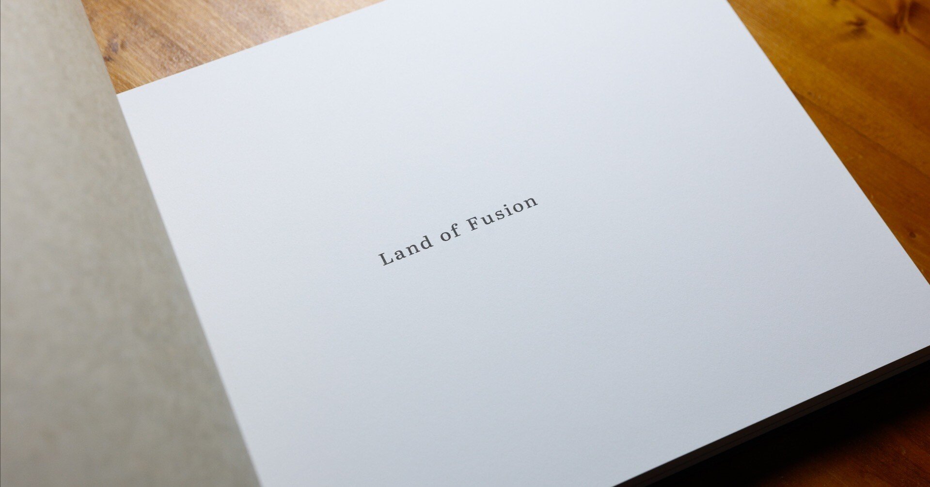 Land of Fusion 地と記憶」のこと｜中西敏貴