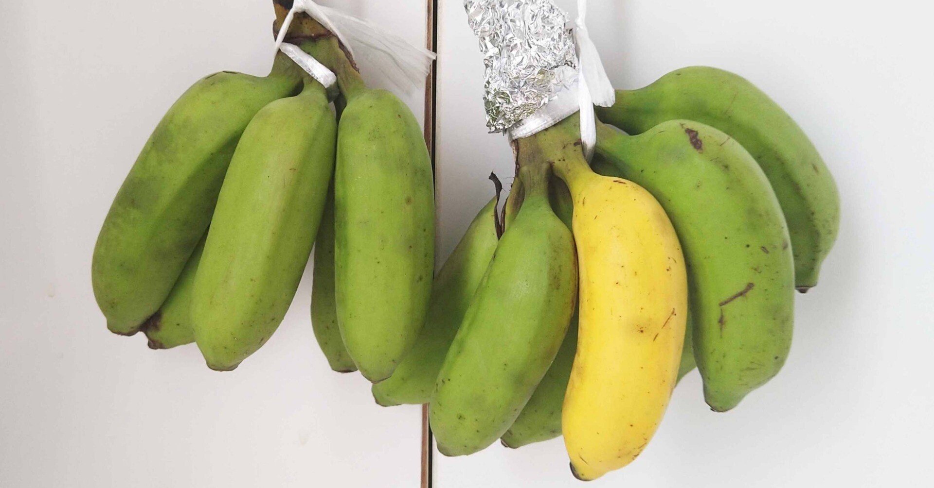 1f45ff85d2bd4ef749cfa7ea9989fd