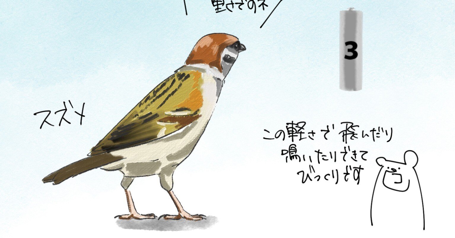 スズメページ e7a0c27039c3f2d3a02984ff147912