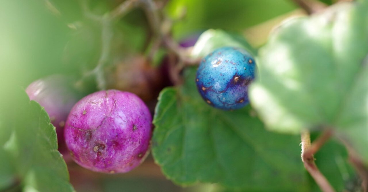 【レムリアの青い石✨】魂のスイッチが今起動する真実を見抜く✨直感力✨心願成就祈祷 レムリアの青い石Ⅰ | as is.