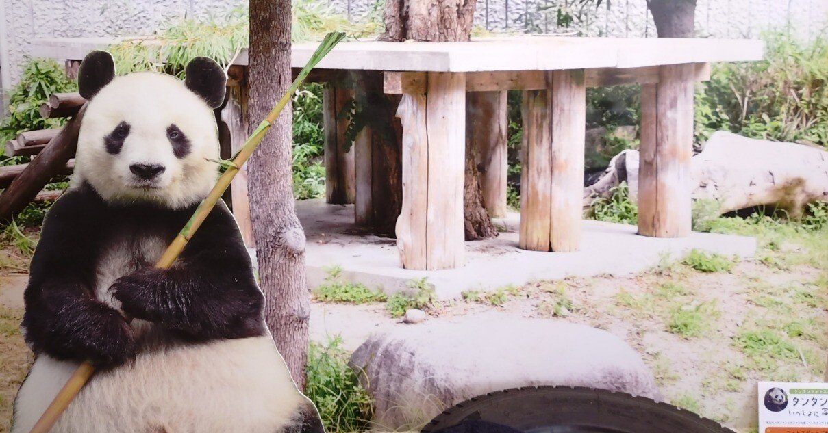 動物園巡りの記録⑬～神戸市立王子動物園編｜すっぴー