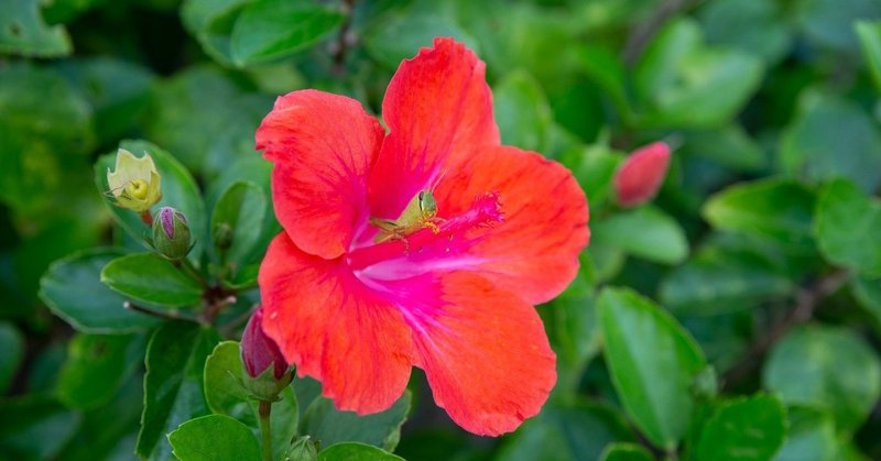 イベント集客をみて思う モノの売り方 人の集め方 Mikaikeda6 ラブソル Note