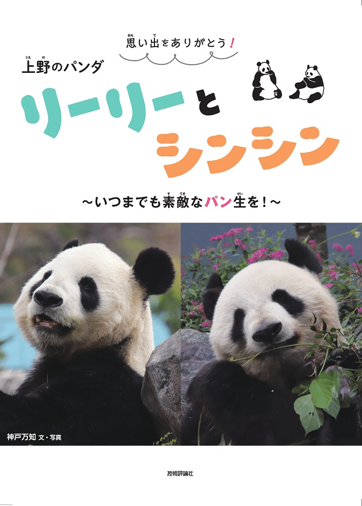 Amazon.co.jp: 上野動物園グッズ リーリー シンシン ポスト