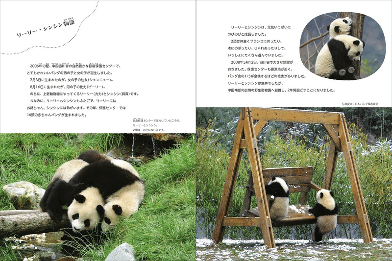 ポストカードセット | 上野動物園リーリー・シンシン | MINTSUKU