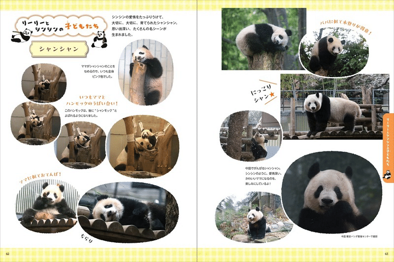 Amazon.co.jp: 上野動物園グッズ リーリー シンシン ポスト