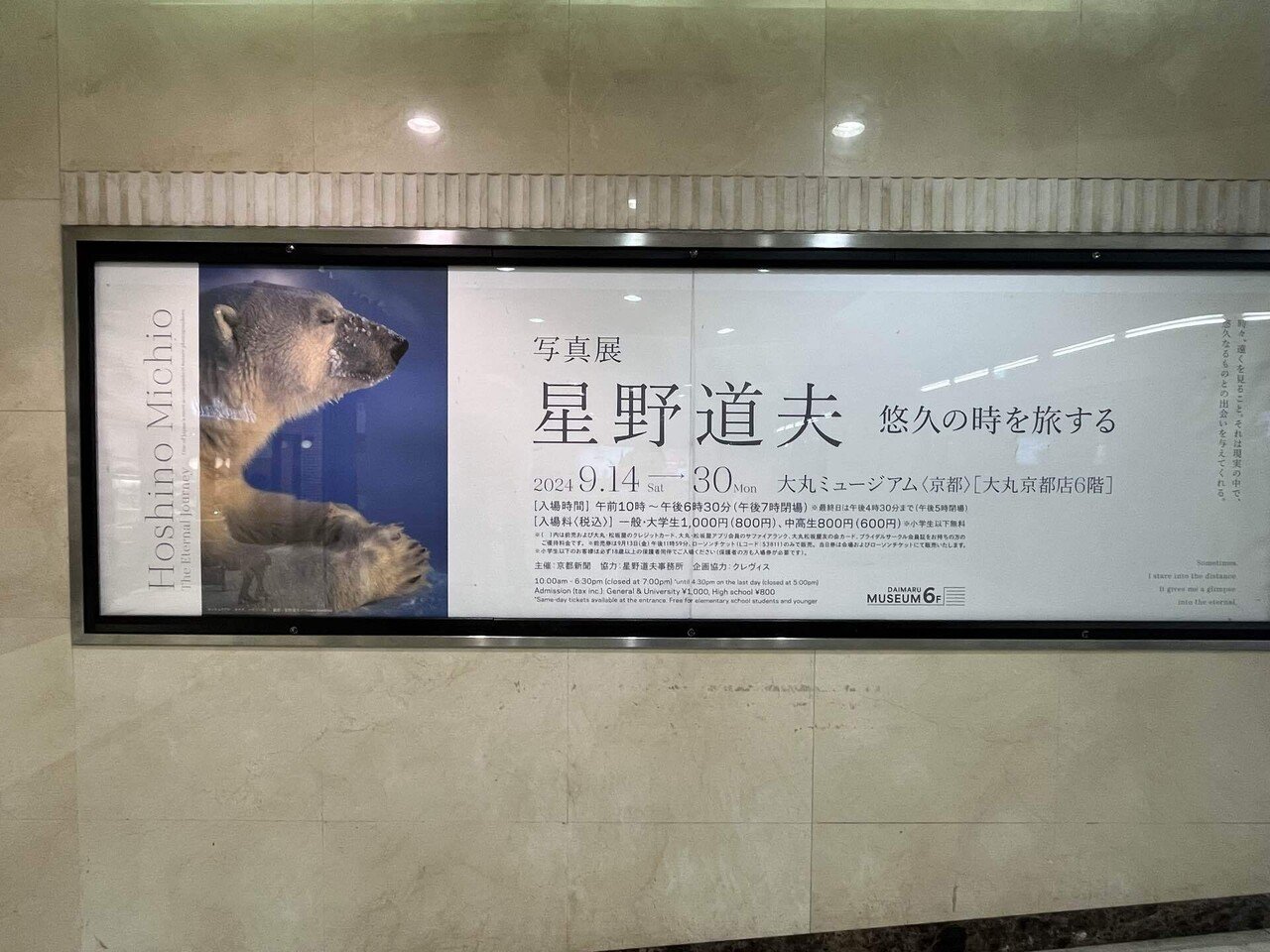 京都大丸ミュージアム星野道夫[悠々の時を旅する]｜カワカミチヒロ