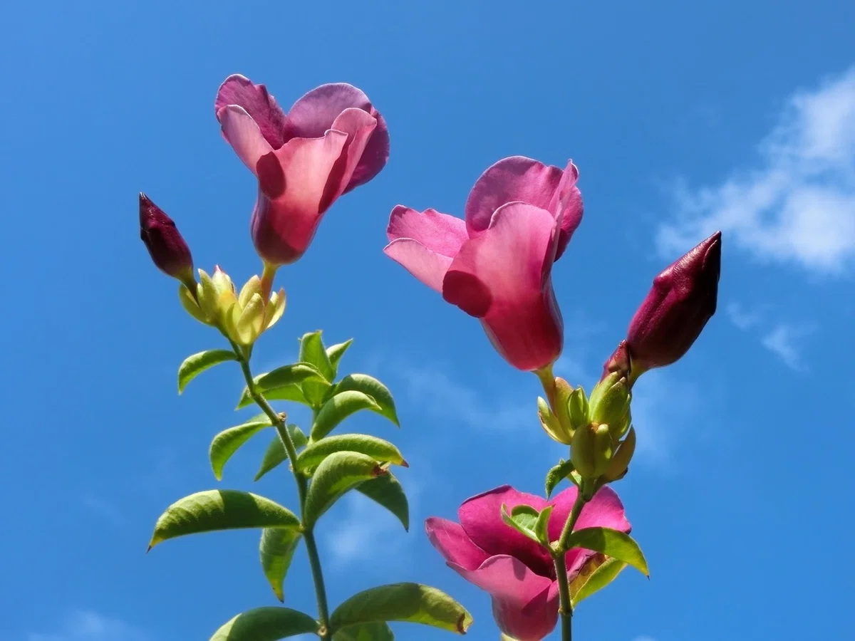 画像12
