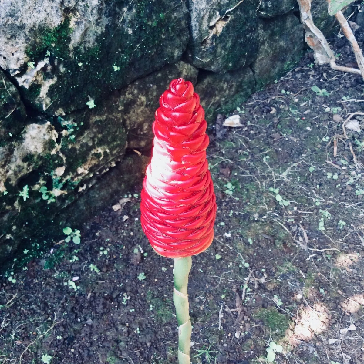 画像15