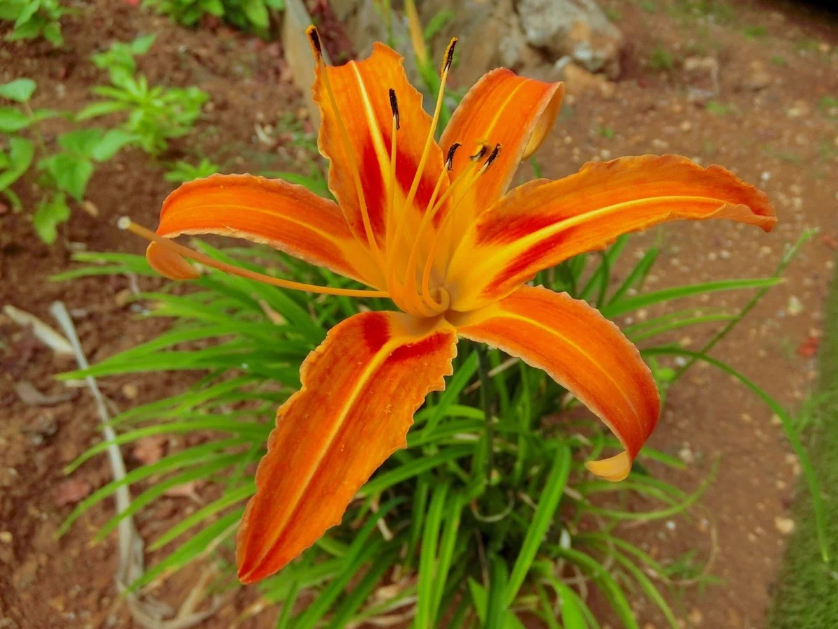 画像20