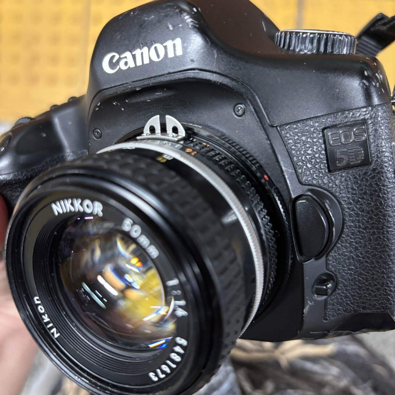 8800円のCanon EOS 5D初代|けいふ 8800円のCanon EOS 5D初代|けいふ