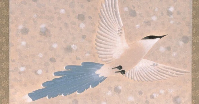 4123 井上秀峰 「四季花鳥之絵」 共箱 肉筆 四幅対 絹本 日本画 掛軸の