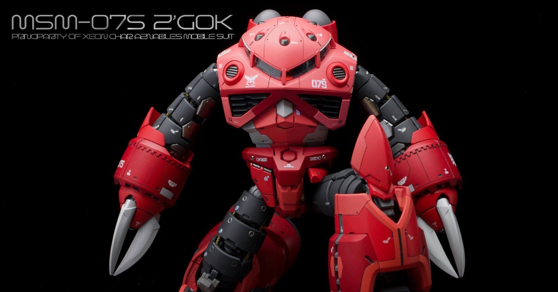 RG シャア専用ズゴック デザート仕様改 RGシャア専用ズゴックリメイク|msr457