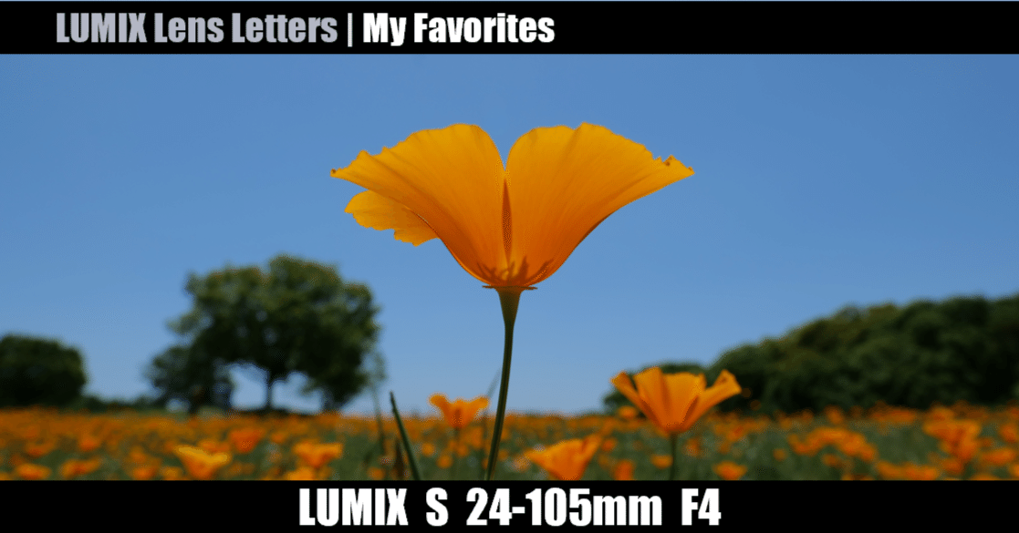 LUMIX S 24-105mm F4 MACRO O.I.S. 【My Favorites #01】 ｜LUMIX Lens