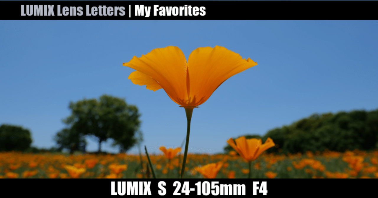 LUMIX S 24-105mm F4 MACRO O.I.S. 【My Favorites #01】 ｜LUMIX Lens