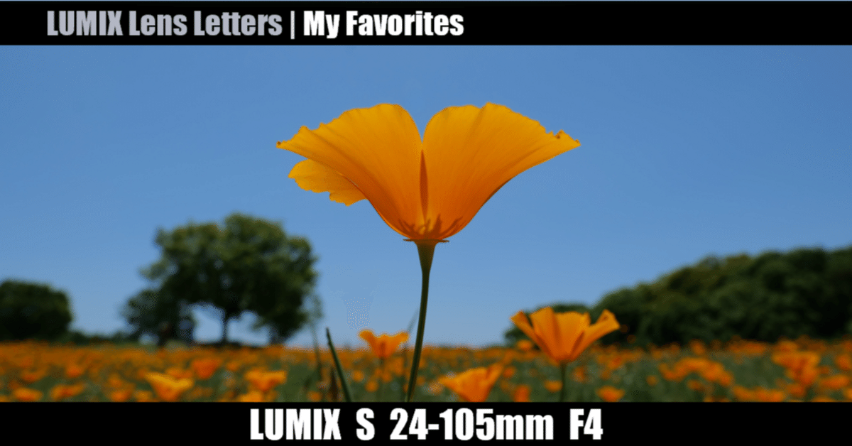LUMIX S 24-105mm F4 MACRO O.I.S. 【My Favorites #01