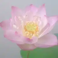 萬里也(まりや)