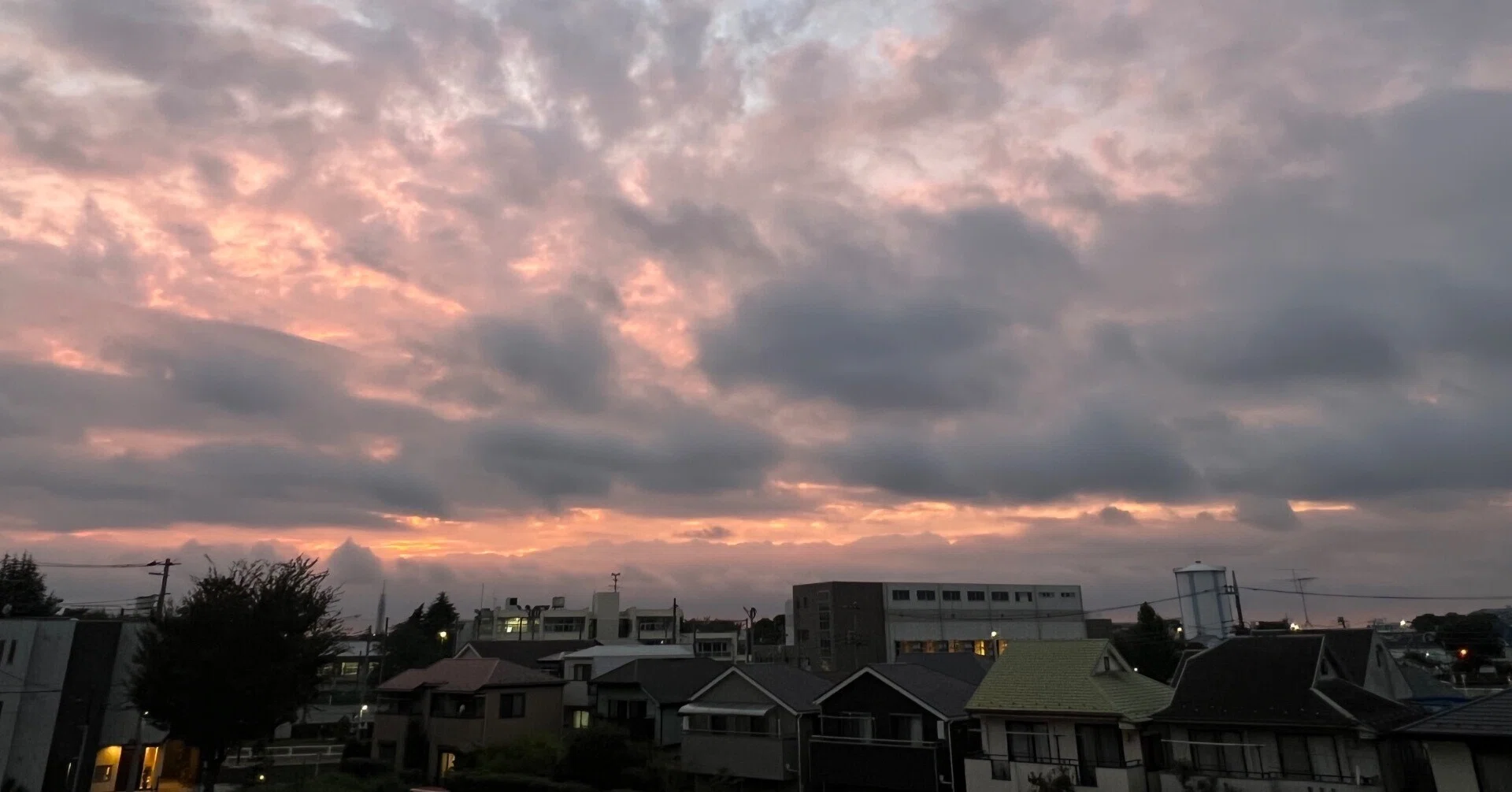 305 いざ！埼玉へ【UR賃貸編】｜ひなたぼっこ