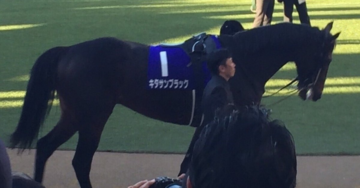 地方競馬］Jpn1ジャパンダートクラシック2024最終サイン考察  