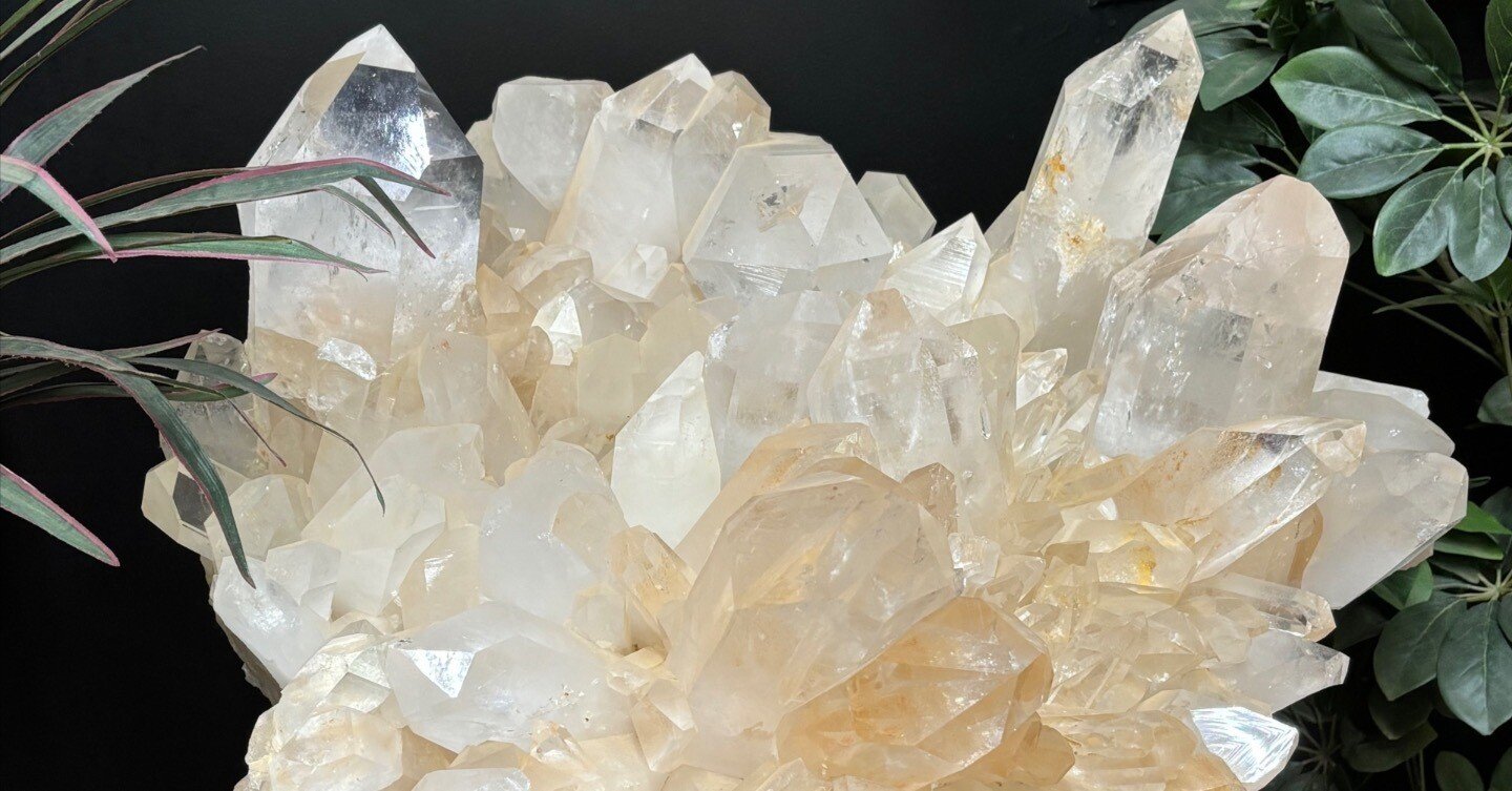 米国アーカンソーで念願の水晶掘り🥰 神聖過ぎて震える〜の巻 Part 1