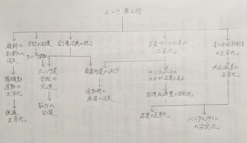 関連図 術後の関連図 ムーアの分類 第3相 鳩ぽっぽ Note